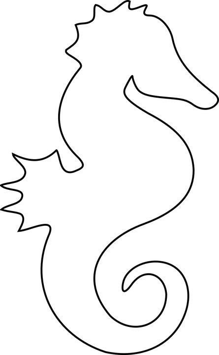 445x720 Seahorse Drawing Free Download