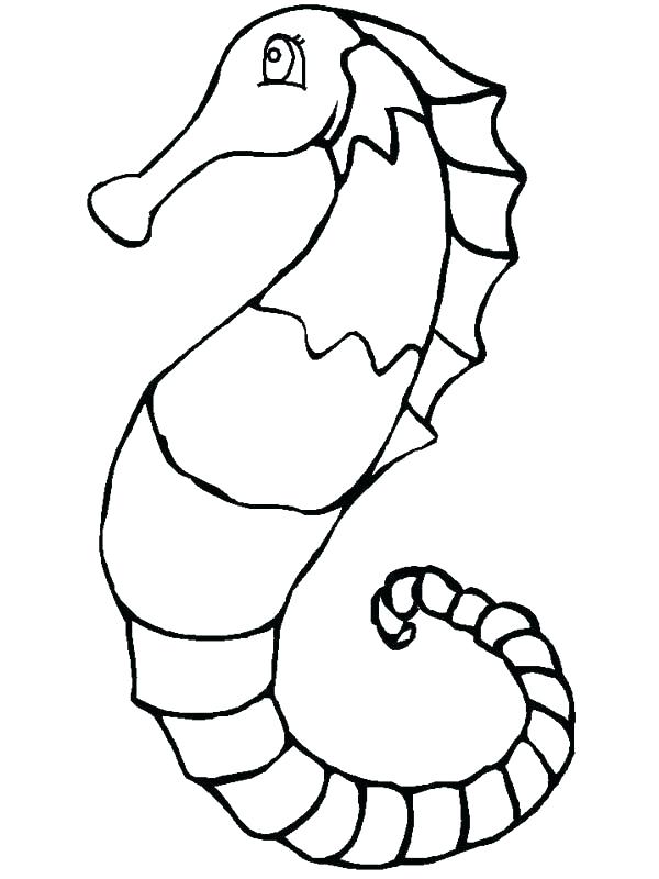 600x800 How To Draw Seahorse