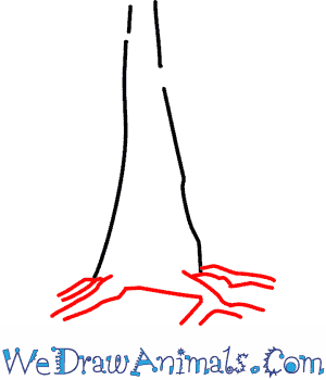 300x350 How To Draw A Redwood Tree