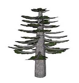 258x270 sketchup plants, trees, and shrubs archive