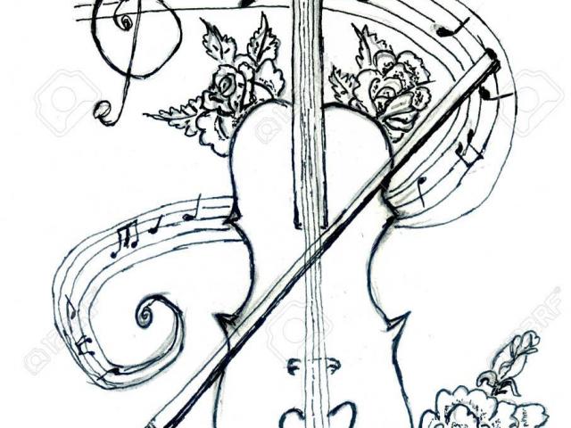 640x480 drawn roots sequoia tree