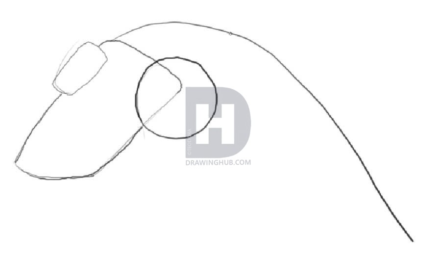 898x532 How To Draw An Easy Dragon Head, Step