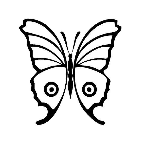 600x576 organic shapes drawing simple resume with organic shape drawing