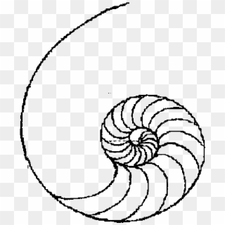 320x320 Drawing Shell Easy