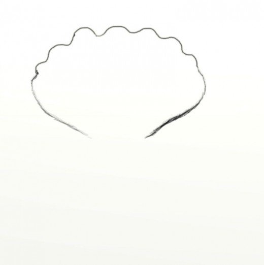 520x522 How To Draw A Clam Feltmagnet