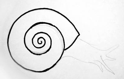 399x256 How To Draw A Snail