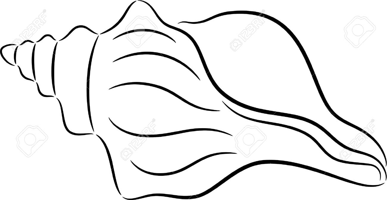 1300x671 Shell Drawing Free Download