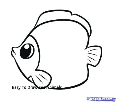 390x342 Easy Sea Animals To Draw