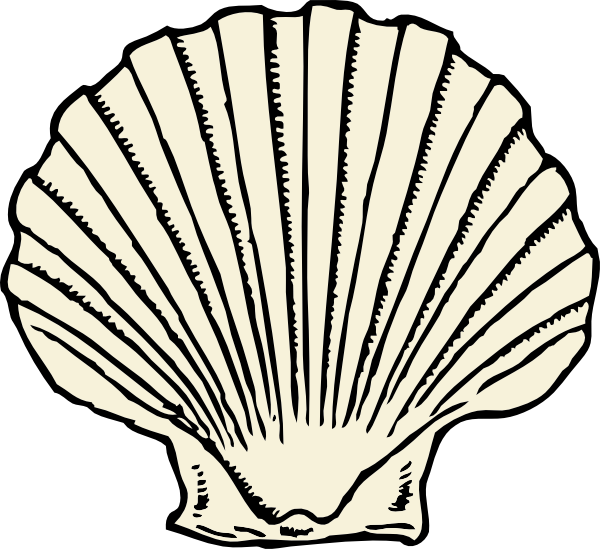 600x549 collection of free aphrodite drawing seashell download on ui ex