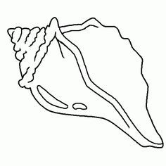 236x236 Conch Shell Drawing Group With Items