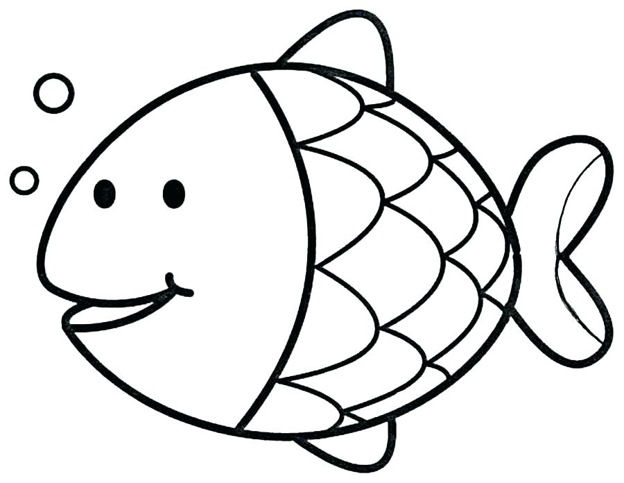 900x696 Simple Drawing Fish Simple Fish Drawing Image