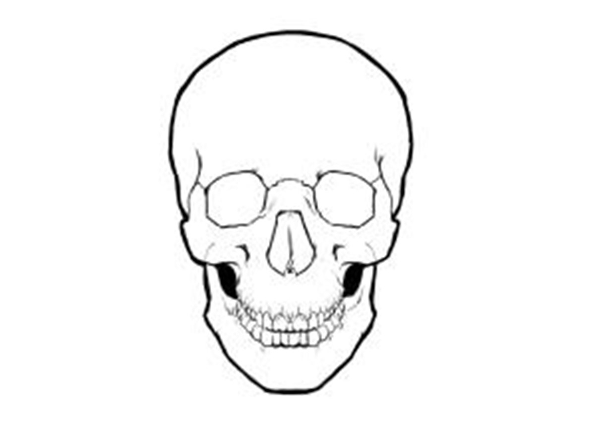 1200x904 Simple Skull Drawing Simple Skull Drawing Free Download Clip Art