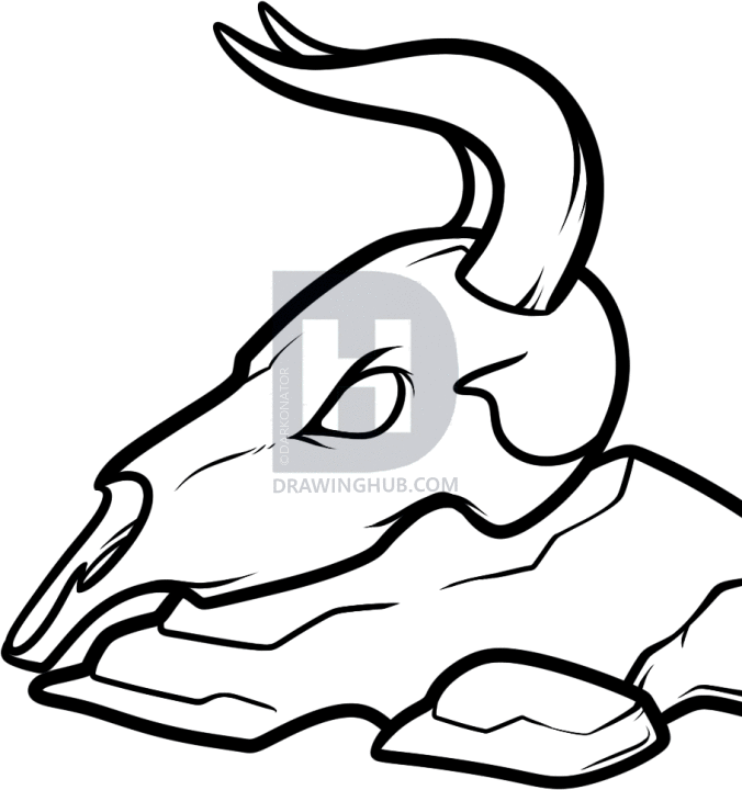 676x720 How To Draw A Cow Skull, Step