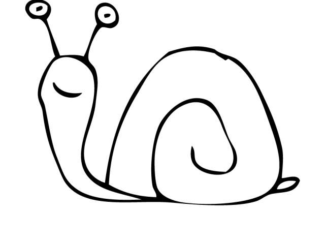 640x480 Free Snail Clipart, Download Free Clip Art