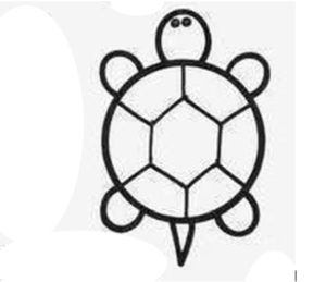 300x259 How To Draw A Turtle Step