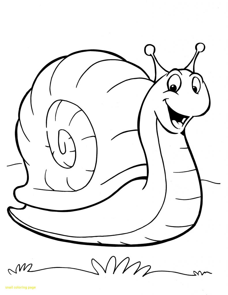 Simple Snail Drawing | Free download on ClipArtMag