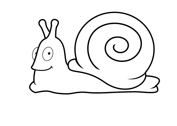 744x530 Snail Clipart Free Download On Scubasanmateo