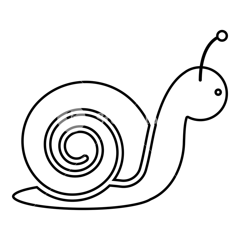 Snail Computer icons Slug gastropods, Snail
