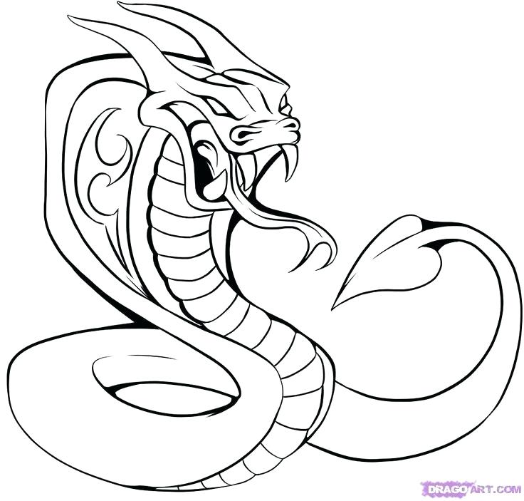 736x703 How To Draw A Cobra Snake How To Draw A King Cobra Drawing A Cobra