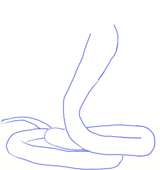 330x350 How To Draw A King Cobra Snake