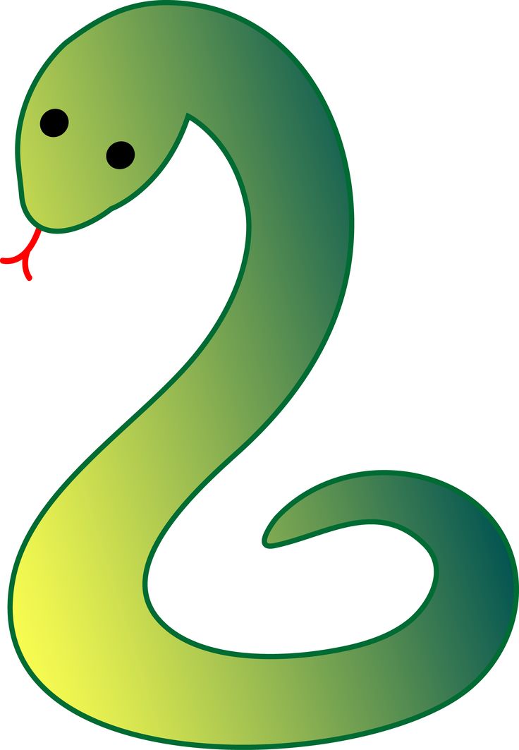 736x1063 Collection Of Free Snake Clipart Easy Amusement Clipart Circus