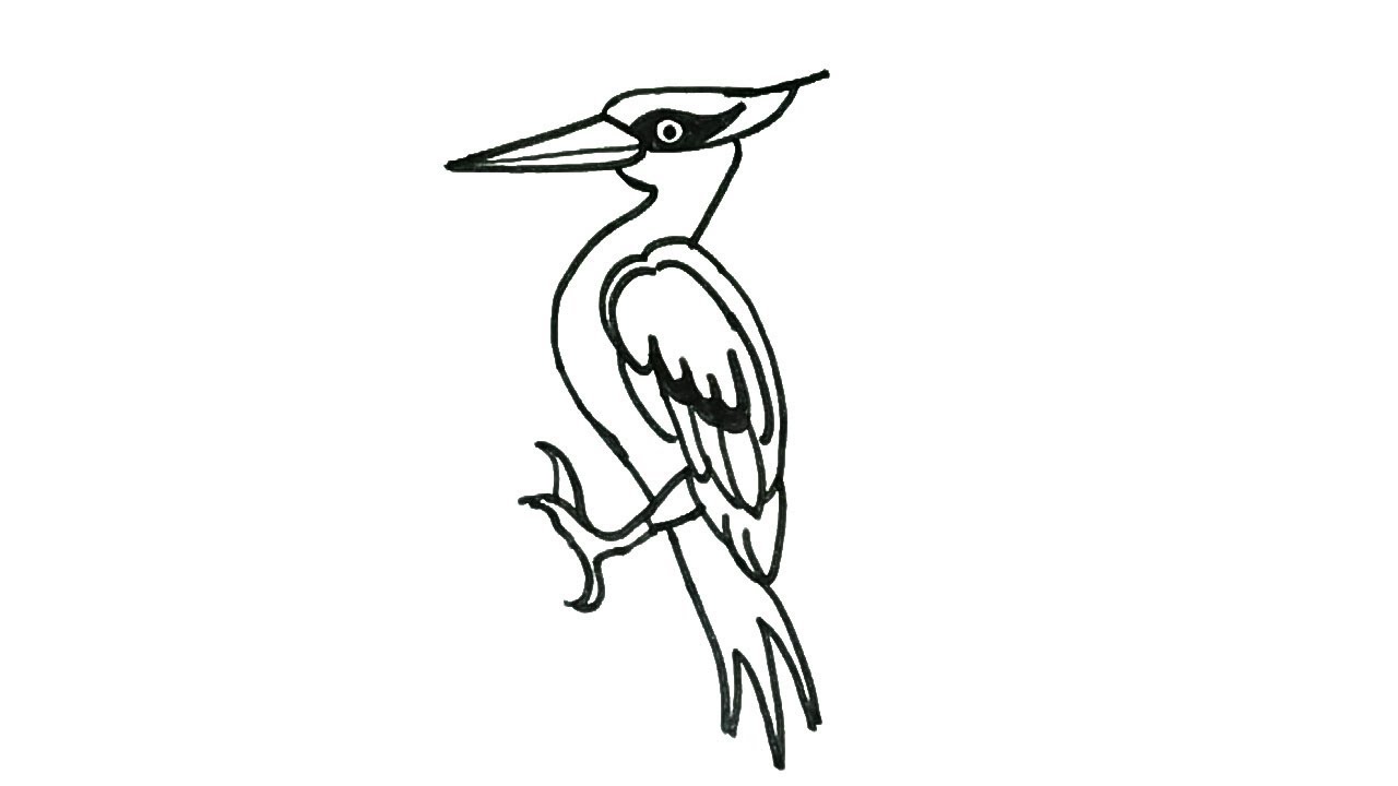 1280x720 How To Draw A Woodpecker How To Draw Birds Drawing Easy Step
