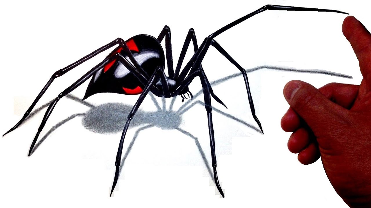 1280x720 How To Draw A Realistic Giant Black Widow Spider!
