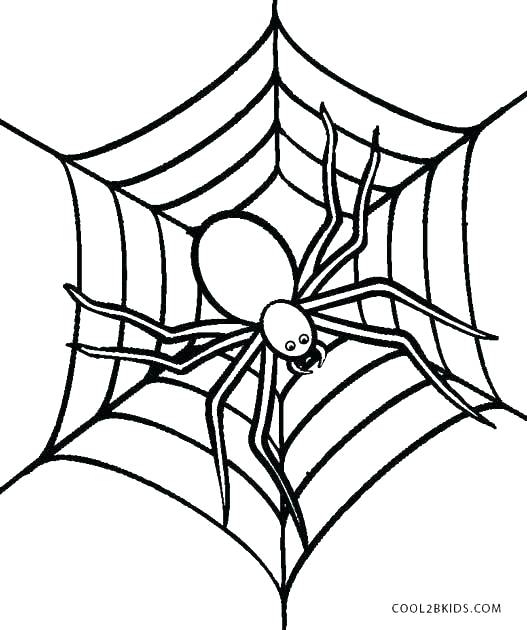527x630 Spider Drawing For Kids