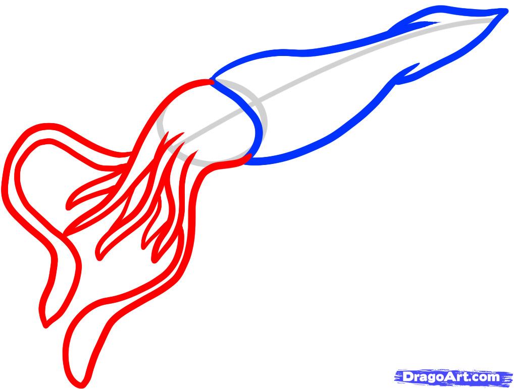 1018x771 how to draw a giant squid, giant squid, step
