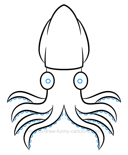 514x622 How To Draw A Squid Clipart