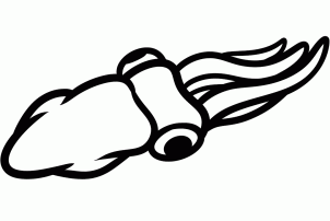 302x202 How To Draw How To Draw A Squid For Kids