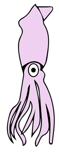 Simple Squid Drawing | Free download on ClipArtMag