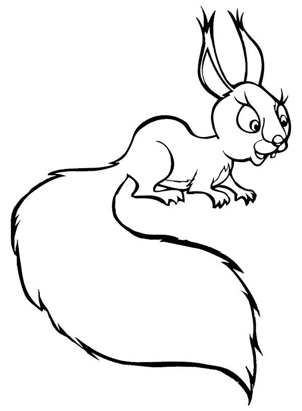 600x816 Simple Squirrel Drawing