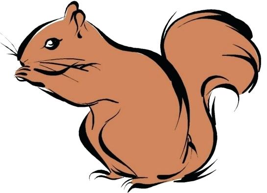545x394 Squirrel Drawing Cute Squirrel Squirrels Line Drawings Line Art