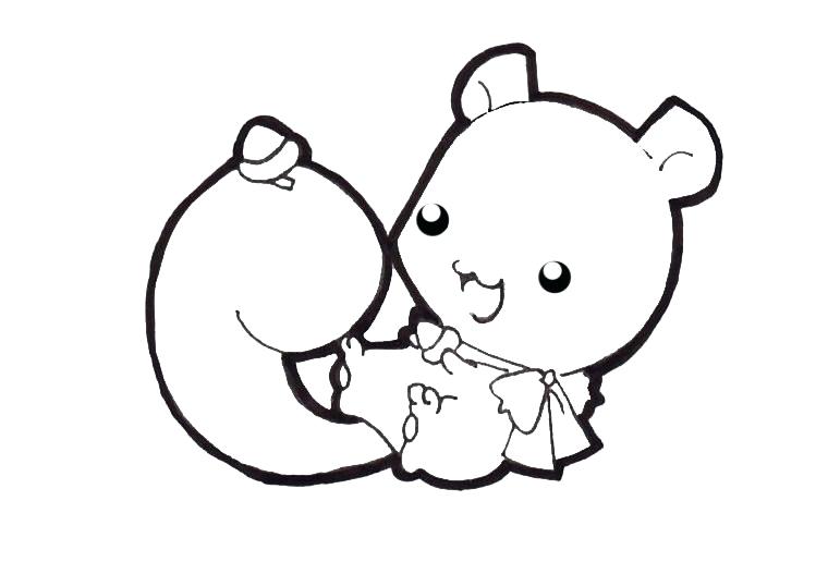 760x516 How To Draw Squirrels