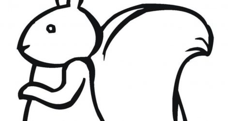 471x250 Drawing A Squirrel Head Tags Mouth Drawing Easy Cardinal