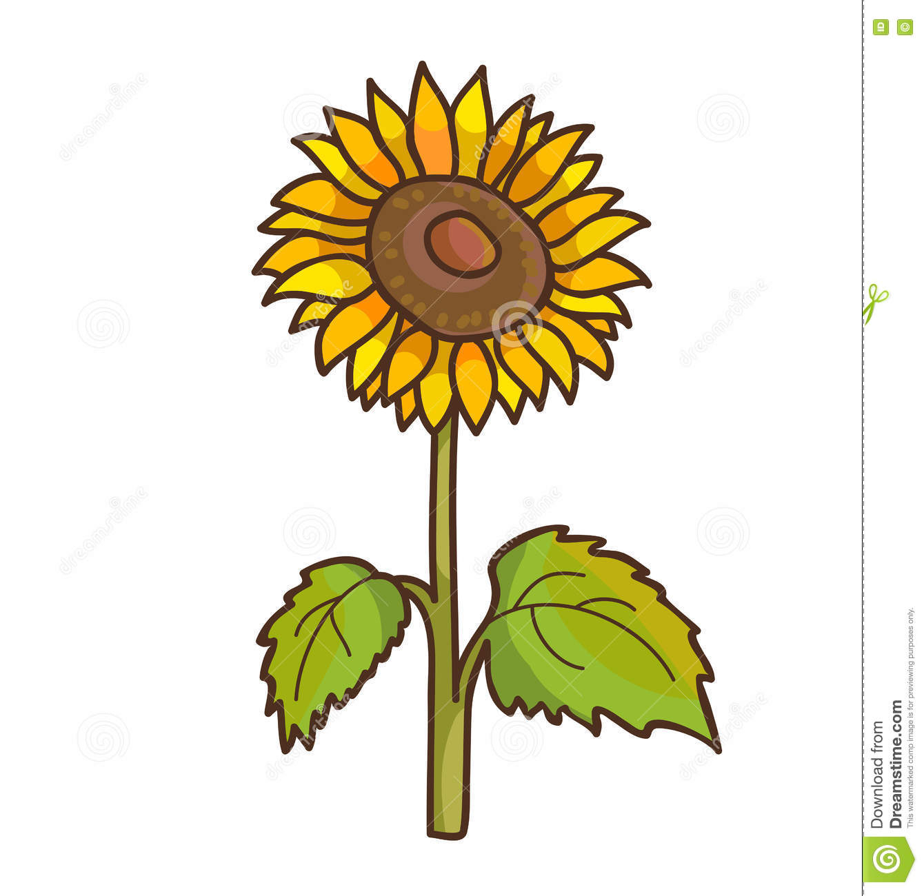1340x1300 Sunflower Cartoon Drawing Simple Sunflower Drawing