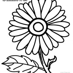 250x250 Sunflower Drawing Sketch Simple Easy Colour A Steps I Fertility