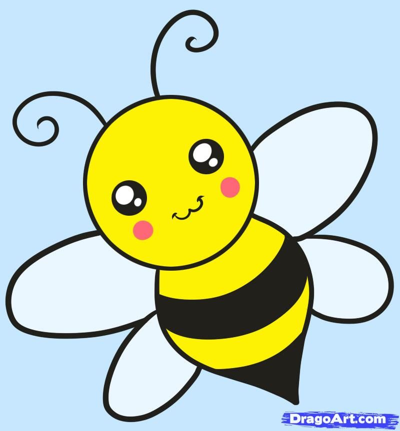 800x863 How To Draw A Bee For Kids, Step