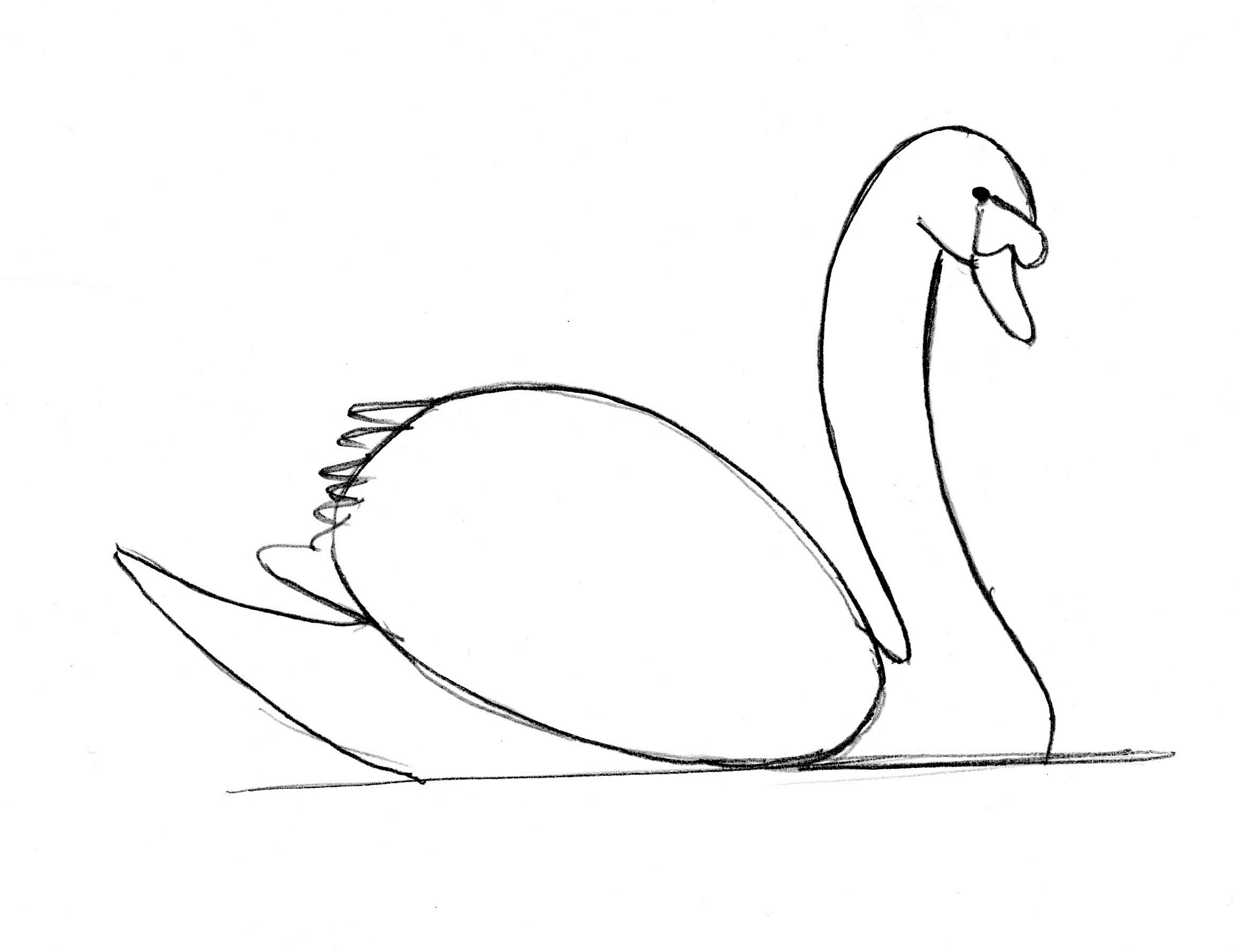 Simple Swan Drawing