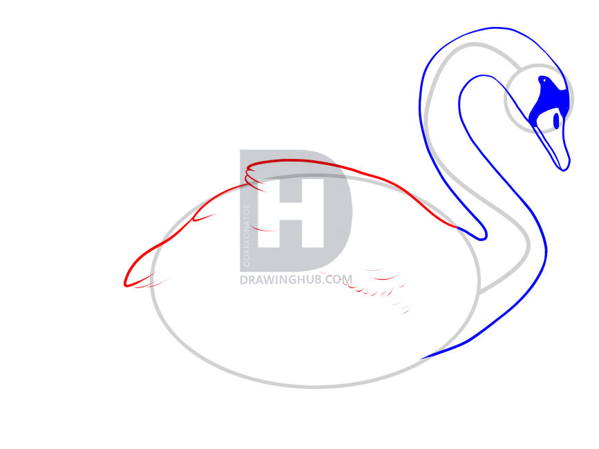 867x650 How To Draw A Swan, Step