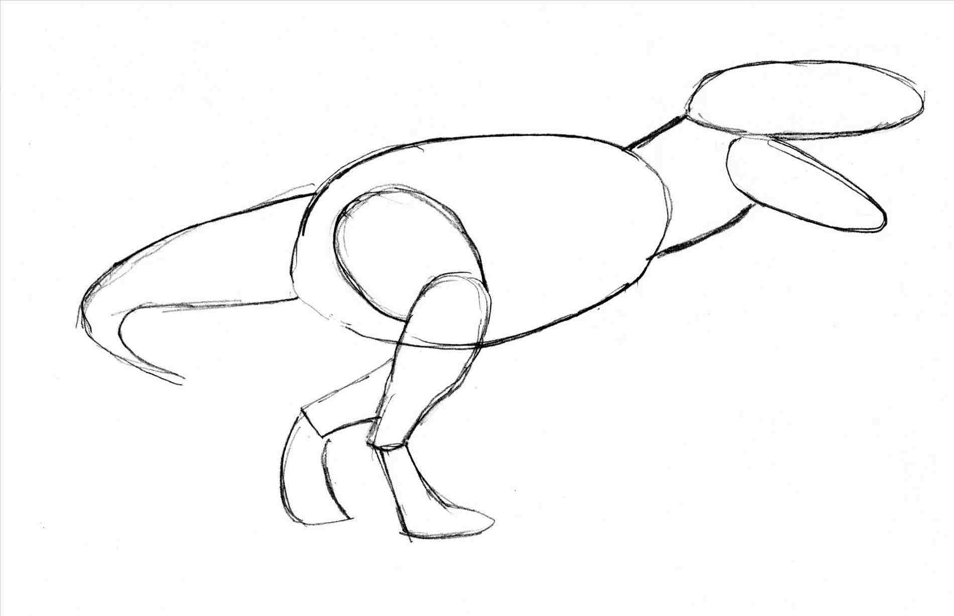 1900x1227 T Rex Drawing Step