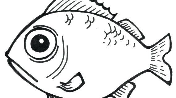 570x320 Fish Simple Drawing Simple Drawing Of A Fish Simple Fish Drawing