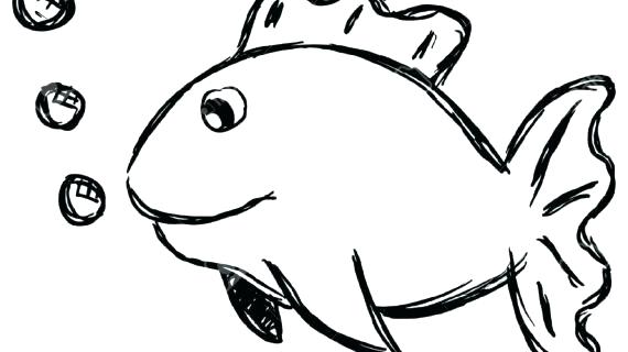 570x320 Glamorous Fish Drawing Amazing Drawings Outline From Tank The Thin