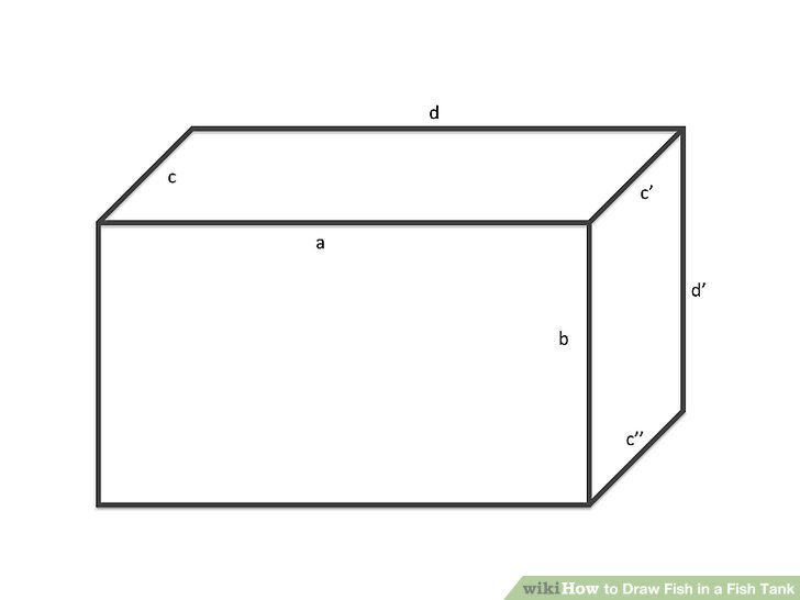 728x546 How To Draw Fish In A Fish Tank Steps