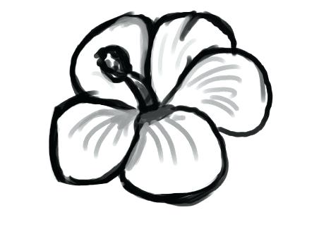 469x332 Easy Drawings Of Easy Drawings Of Flowers Easy Creative Drawings