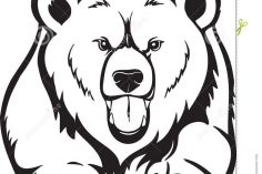 236x157 Teddy Bear Clip Art Polar Drawing Black And White Colour Book