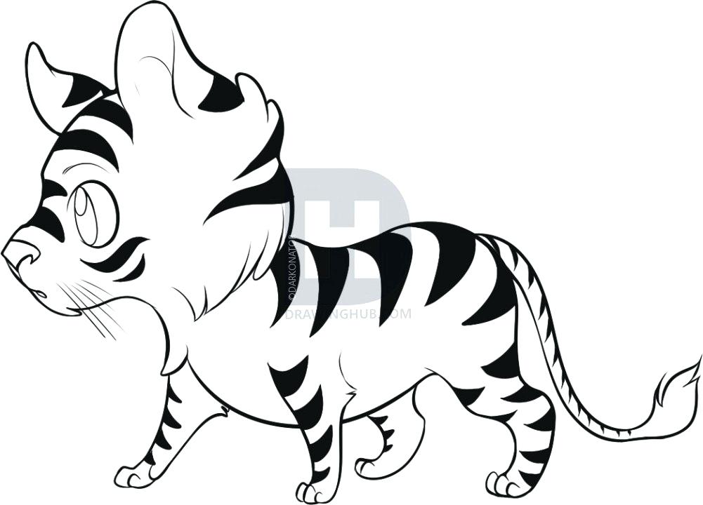 1001x720 Tiger Drawing Easy Tiger Tattoo Drawing Easy