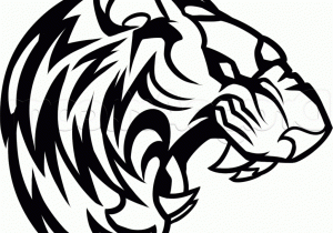 300x210 Simple Tiger Face Drawing