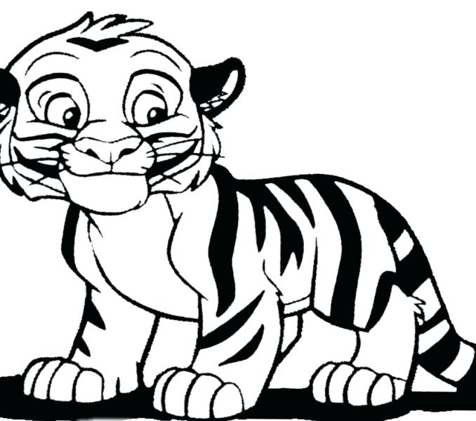 678x600 Tiger Face Outline Tiger Face Outline Simple